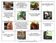 Eichhörnchen-Domino-2.pdf